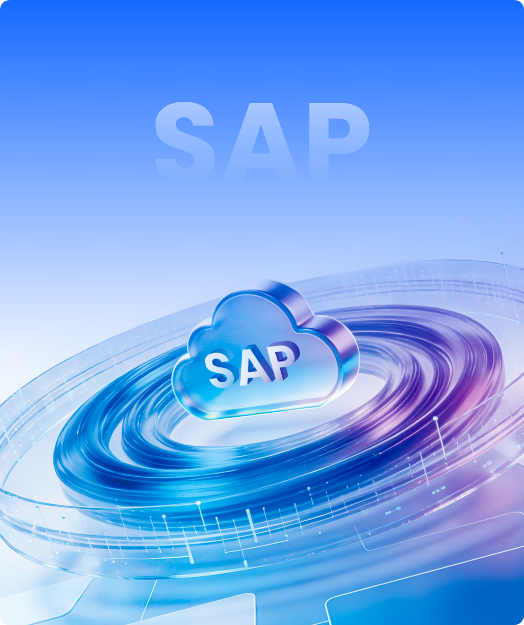 SAP 生态方案