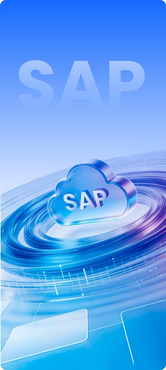 SAP 生态方案