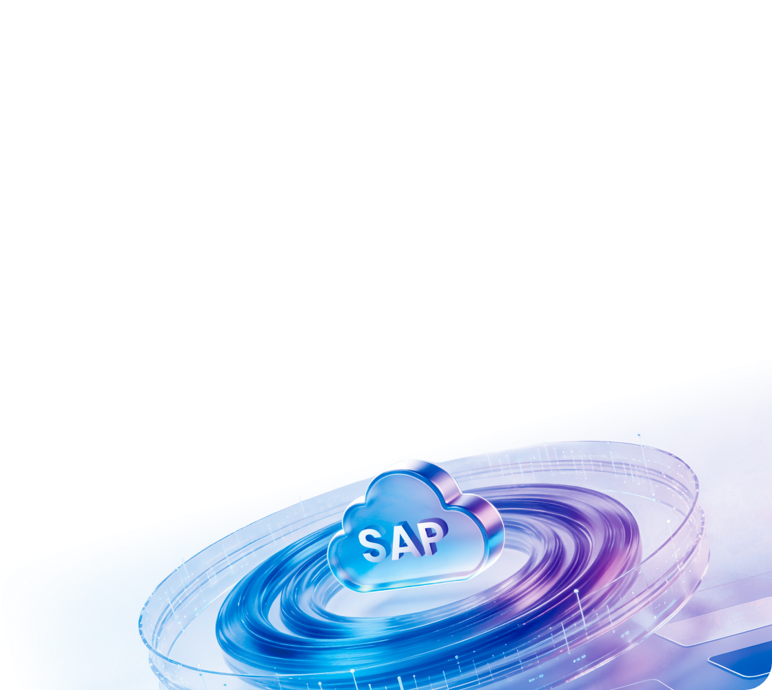 SAP TM 标准能力