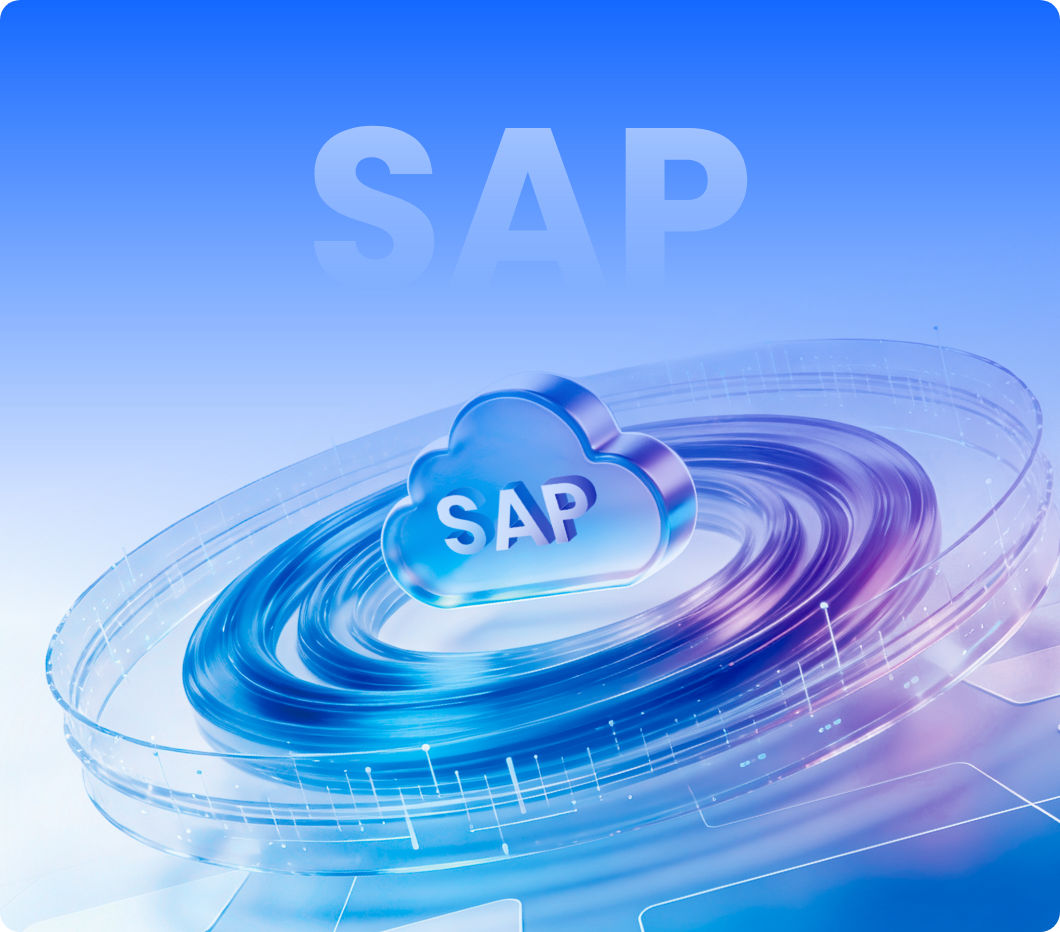 与 SAP 生态的组合使用